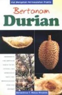 Bertanam durian