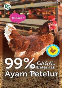 99% Gagal Beternak Ayam Petelur