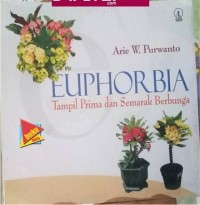 EUPHORBIA Tampil Prima dan Semarak Berbunga