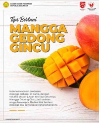 KEBUN MANGGA GEDONG GINCU NINA