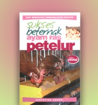 Sukses Beternak Ayam Ras Petelur